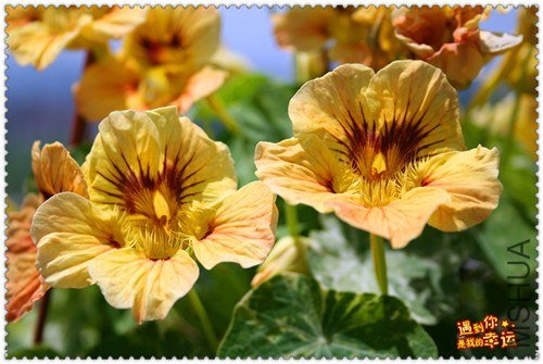 ��Ƭ 097_����.jpg