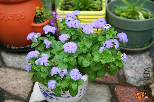 ��Ƭ 028_����.jpg