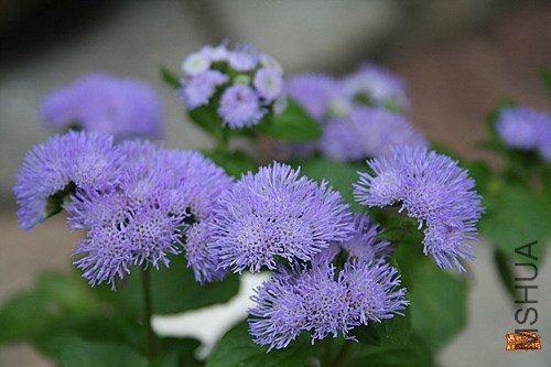 ��Ƭ 030_����.jpg