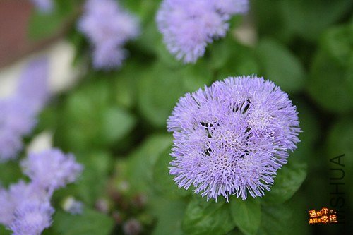 ��Ƭ 032_����.jpg