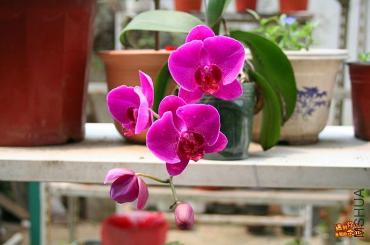 ��Ƭ 228_����.jpg