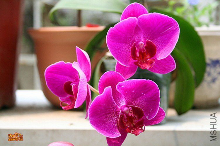 ��Ƭ 230_����.jpg