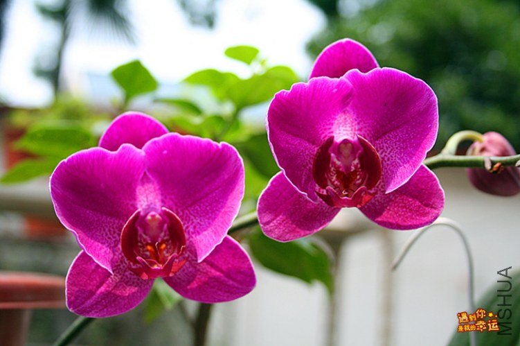 ��Ƭ 231_����.jpg