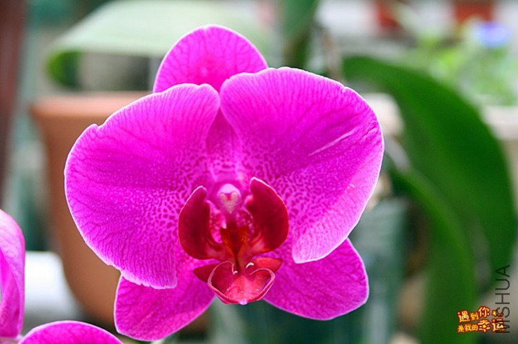 ��Ƭ 232_����.jpg