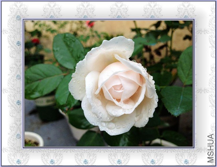 �ܷ��ܶ���