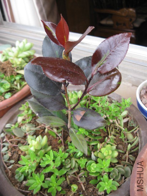 �ڱ��� (10).JPG