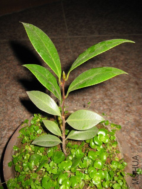 ������֮��6 (4).JPG