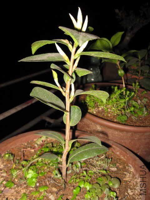 ά������������7 (8).JPG