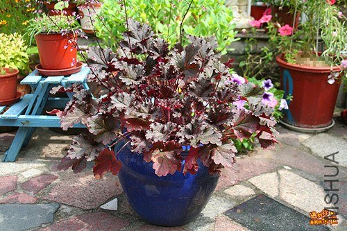 ��Ƭ 046_����.jpg