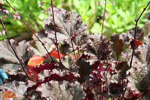 ��Ƭ 048_����.jpg