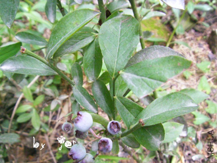 DSCF7617_����.jpg