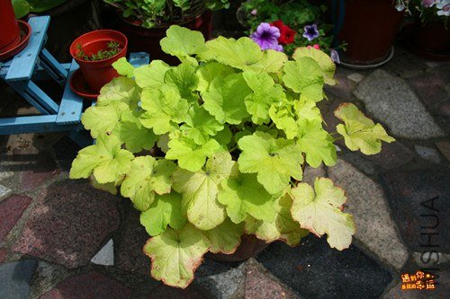 ��Ƭ 041_����.jpg