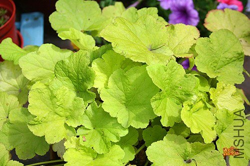 ��Ƭ 043_����.jpg