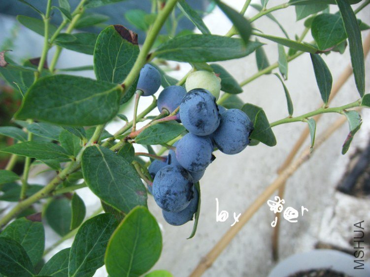 DSCF7561_����.jpg