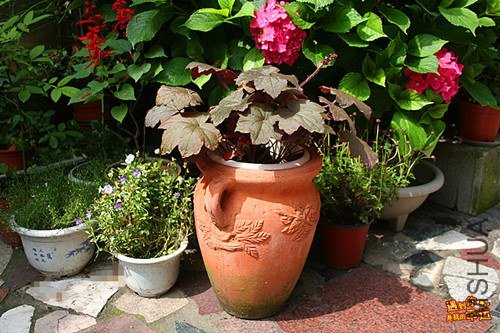 ��Ƭ 050_����.jpg