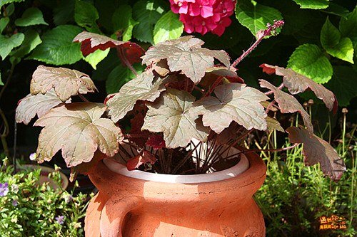 ��Ƭ 051_����.jpg