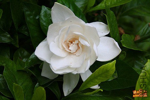 ��Ƭ 066_����.jpg