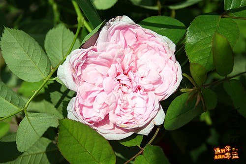 ��Ƭ 087_B����.jpg