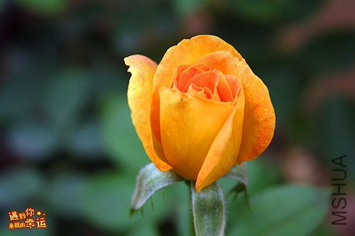 ��Ƭ 085_����.jpg