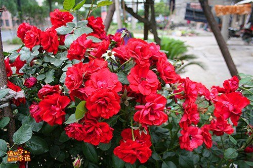 ��Ƭ 070_����.jpg