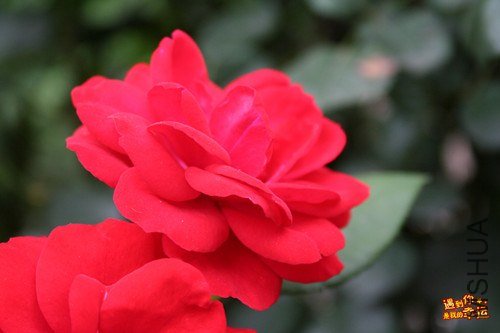 ��Ƭ 072_����.jpg