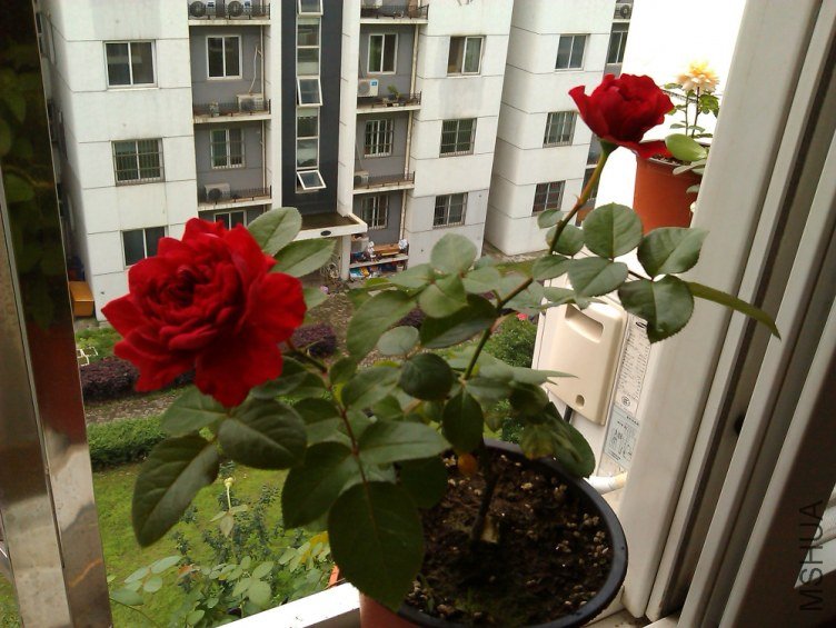 IMAG1439.jpg
