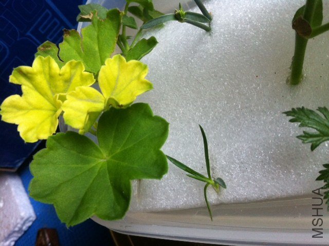 �����һ��ˮ��