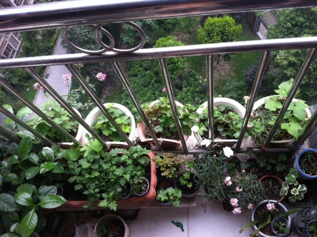 ���б���