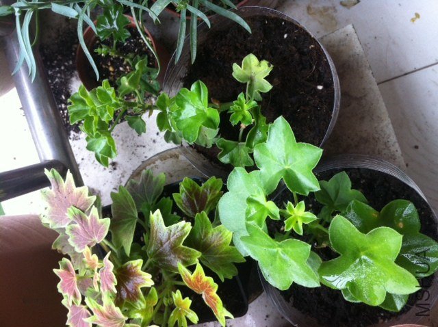 �ϴ���ķ���22