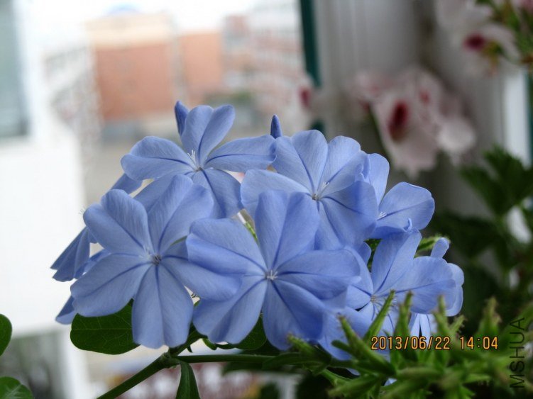 IMG_3643a.jpg