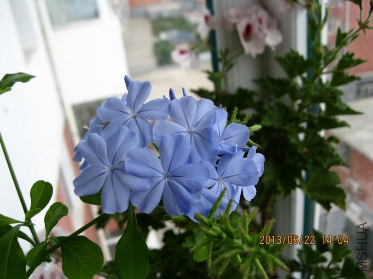 IMG_3646a.jpg