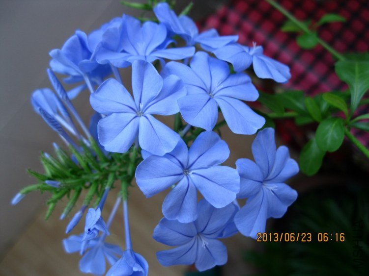 IMG_3652a.jpg