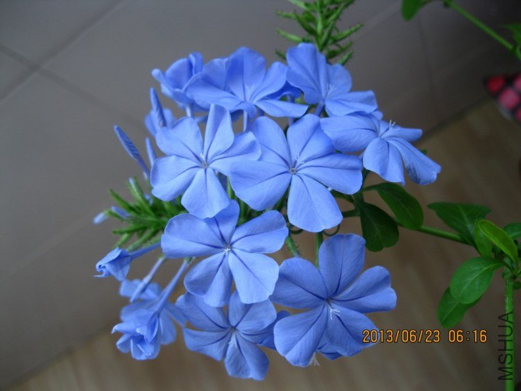 IMG_3653a.jpg