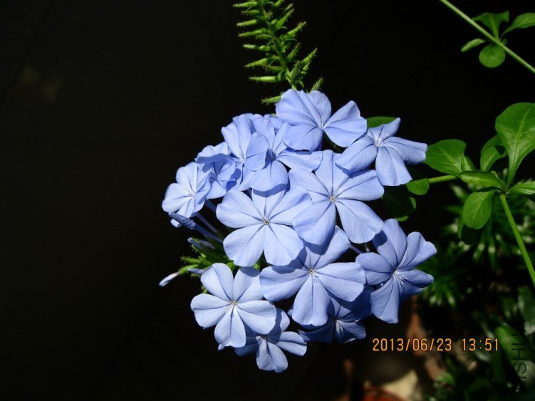 IMG_3665a.jpg