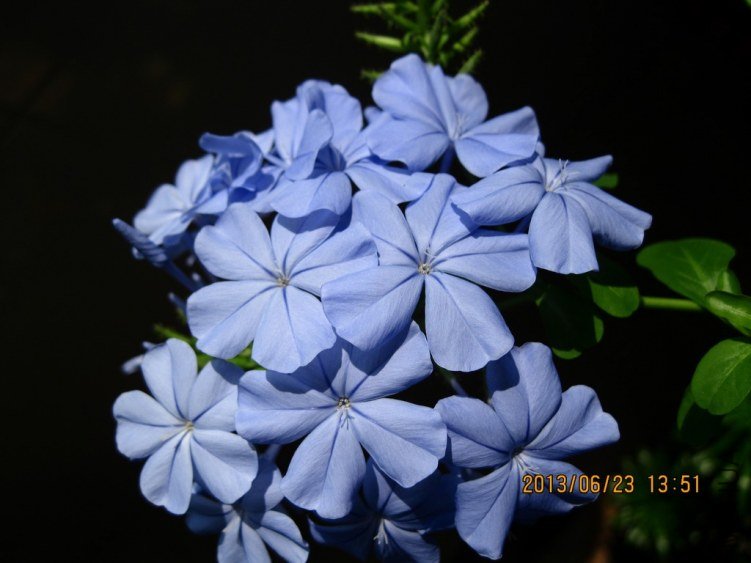 IMG_3667a.jpg