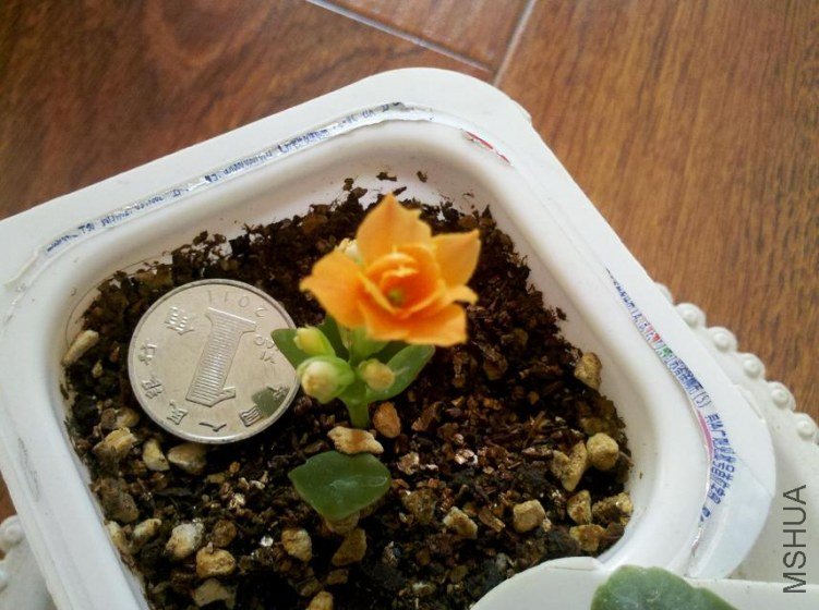 ���� 2012-01-05_14-23-24_857.jpg