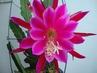 DSC01642.JPG