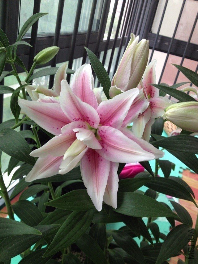 QQͼƬ20130624102138.jpg