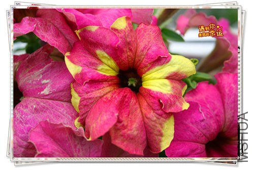 ��Ƭ 212_����.jpg