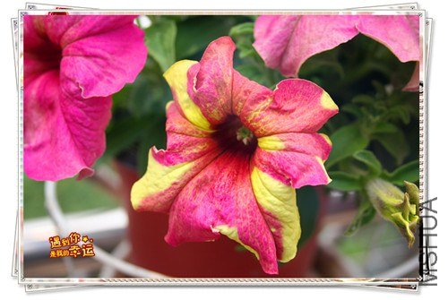 ��Ƭ 214_����.jpg