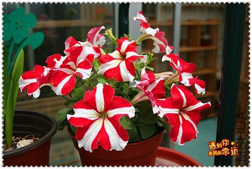 ��Ƭ 276_����.jpg