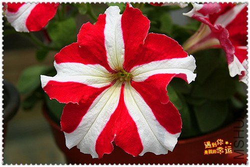 ��Ƭ 278_����.jpg