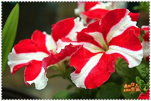 ��Ƭ 279_����.jpg