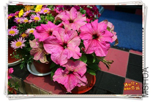 ��Ƭ 219_����.jpg