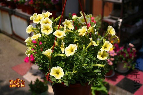 ��Ƭ 056_����.jpg