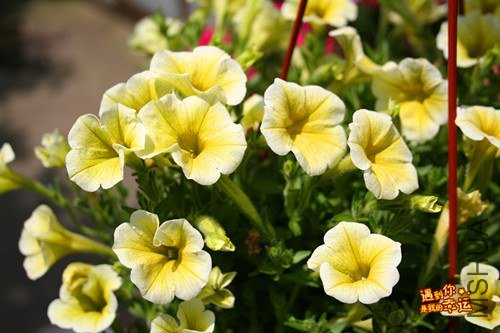 ��Ƭ 059_����.jpg