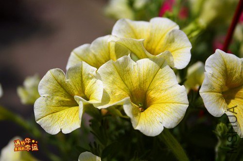 ��Ƭ 061_����.jpg