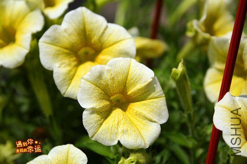 ��Ƭ 063_����.jpg