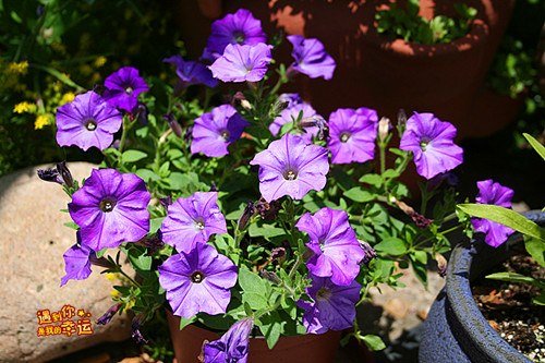 ��Ƭ 181_����.jpg