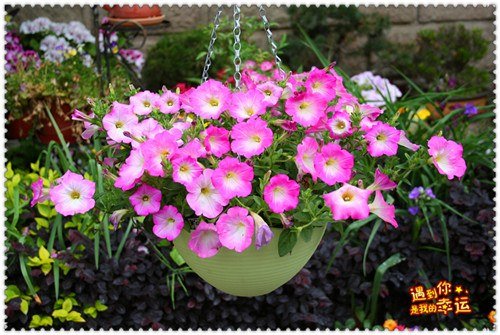 ��Ƭ 153_����.jpg